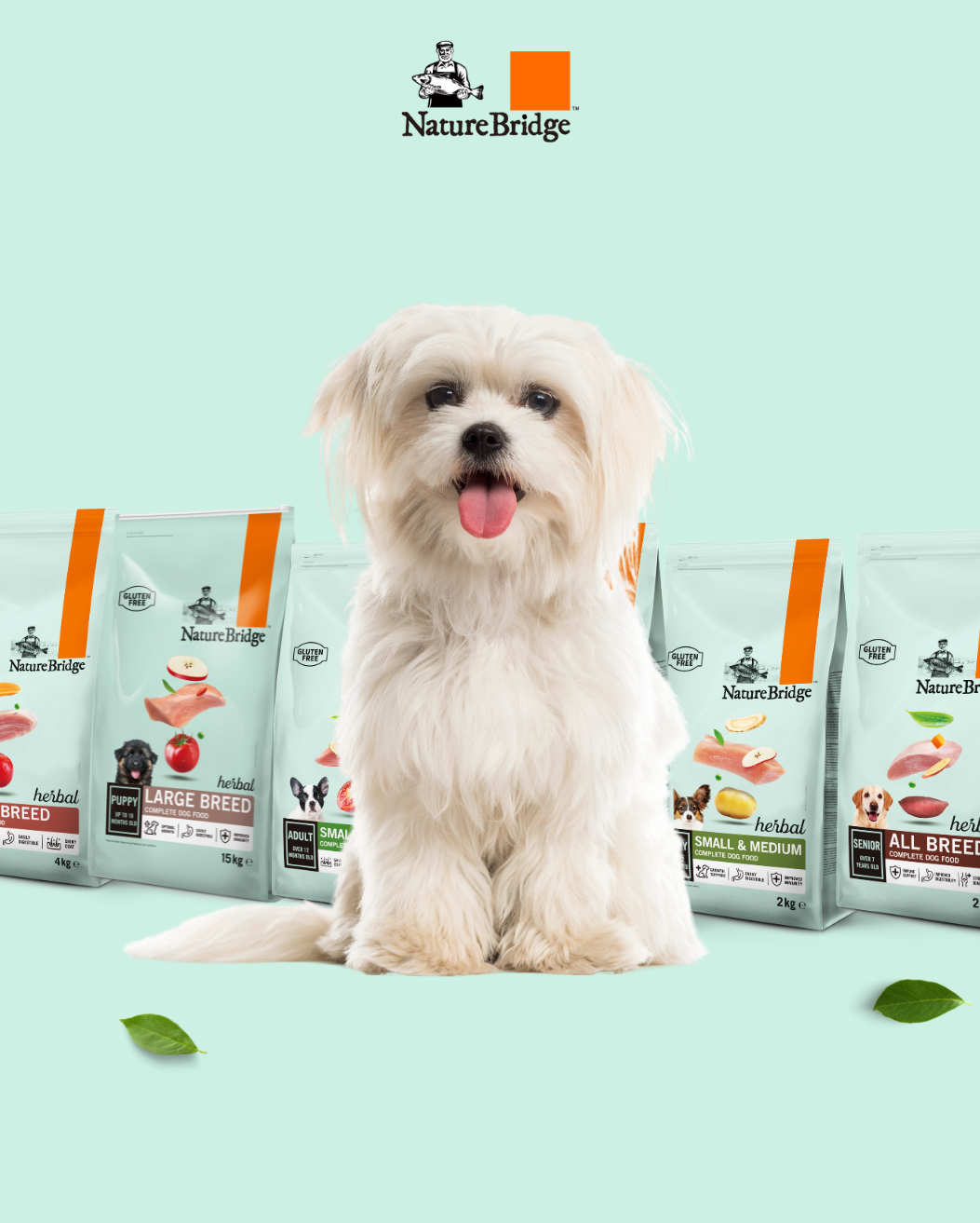 For Dog | NatureBridge