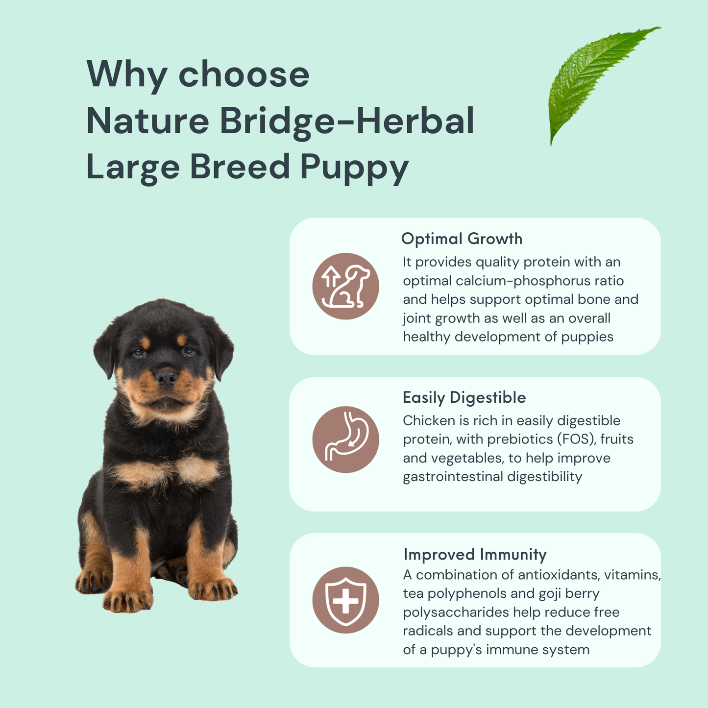 Herbal-Large Breed Puppy