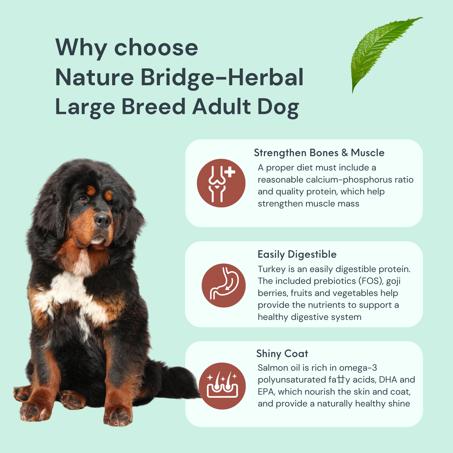 Herbal-Large Breed Adult Dog